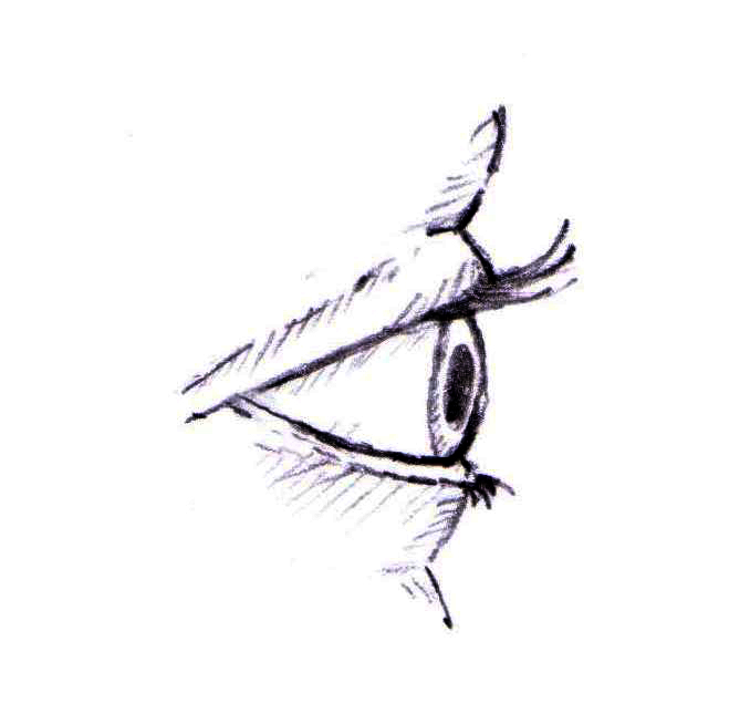 bioplastia de palpebras